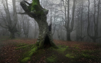 Die Ahnenzeit – Wenn die Tore zur anderen Welt sich öffnen