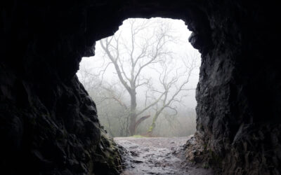 Im Schoß des Winters