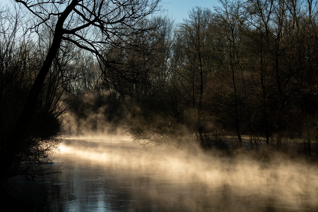 Nebel über einem stillen Gewässer zwischen kahlen Bäumen